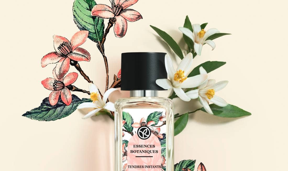 Aromachology: The Power of Scents_3